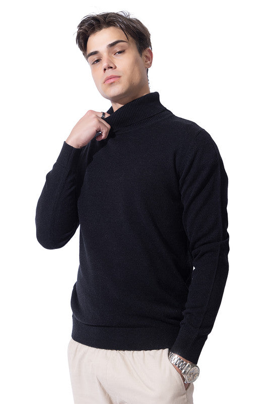 Turtle Neck Pullover I Certified Wool I Black