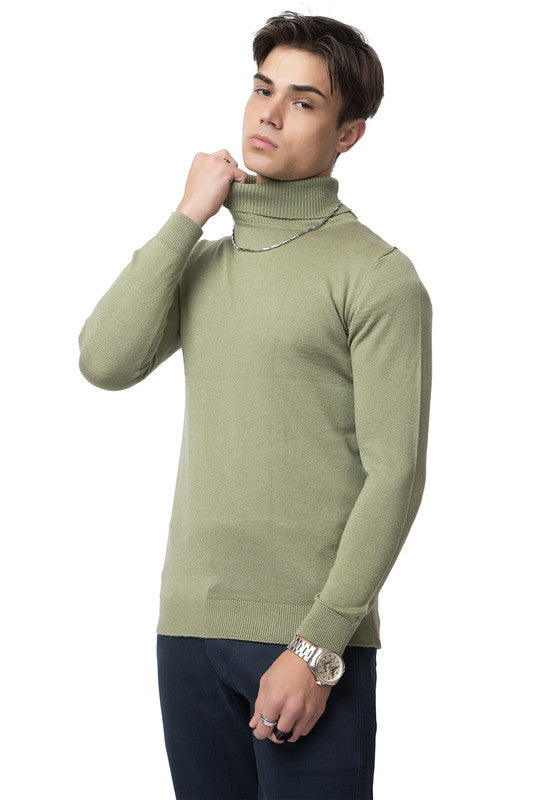 Turtle Neck Pullover I Certified Wool I Sage